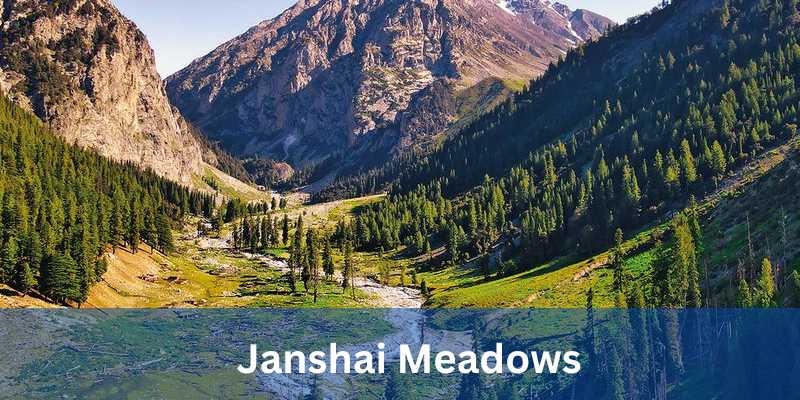 Janshai Meadows