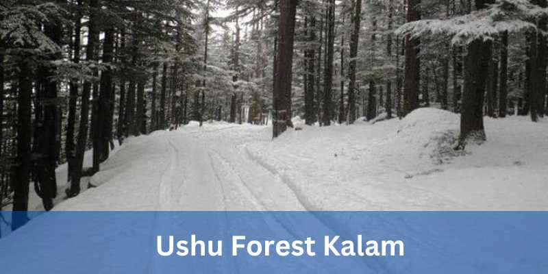 Ushu Forest Kalam