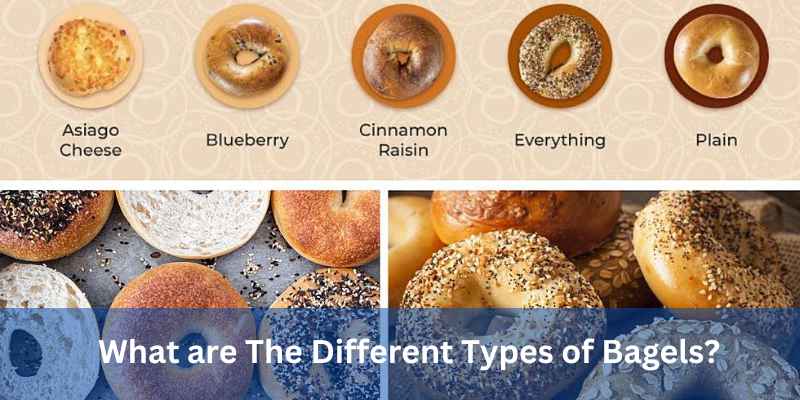 What are The Different Types of Bagels