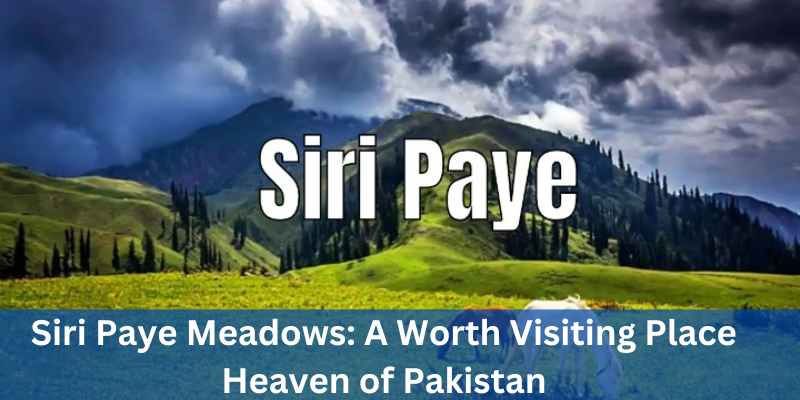 Siri Paye Meadows A Worth Visiting Place Heaven of Pakistan